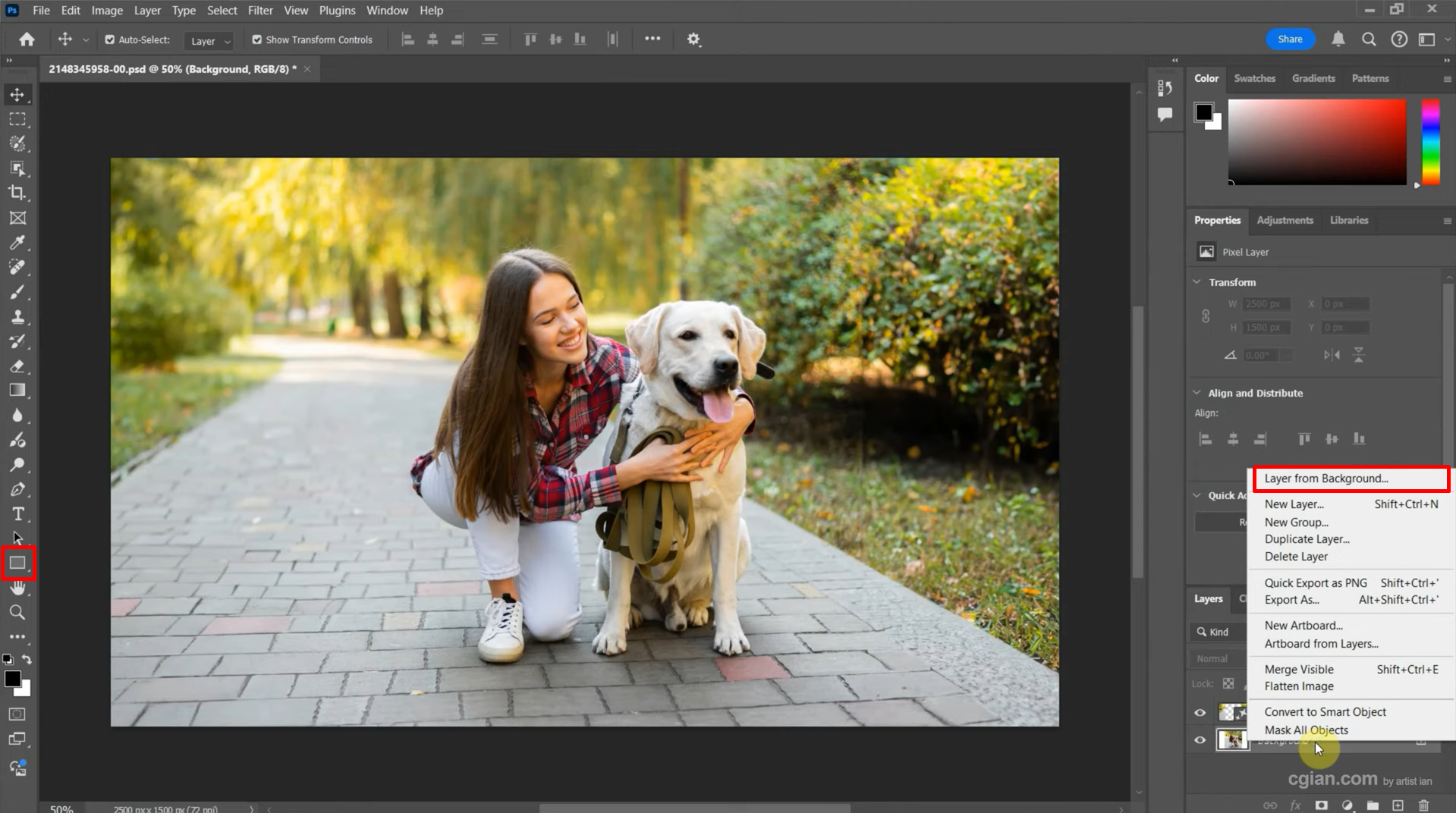 Creating a new layer in Photoshop