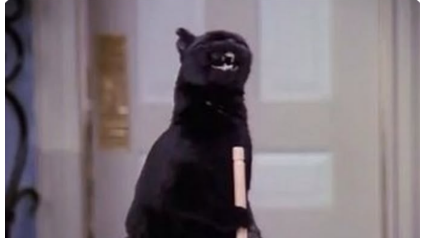 Black cat with glowing eyes and spooky background