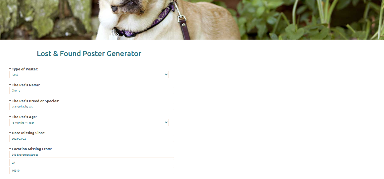 PetBridge missing person poster meme generator