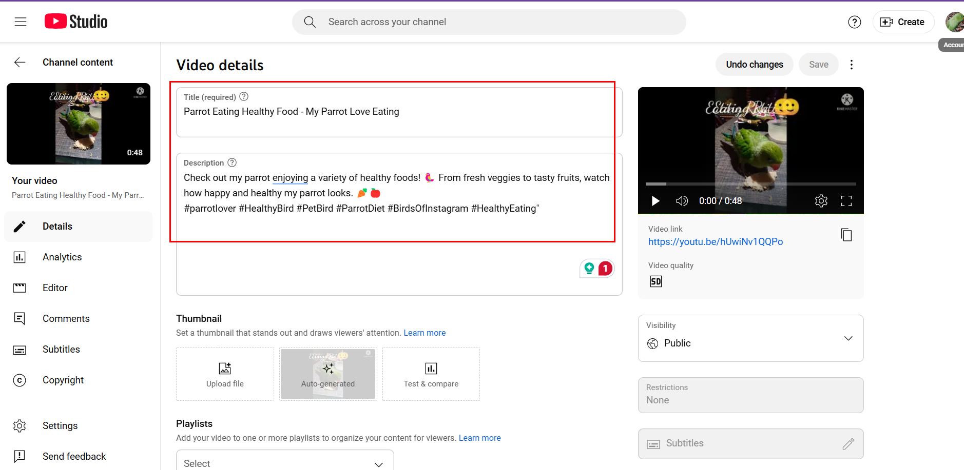 Interface of YouTube adding title and description to video