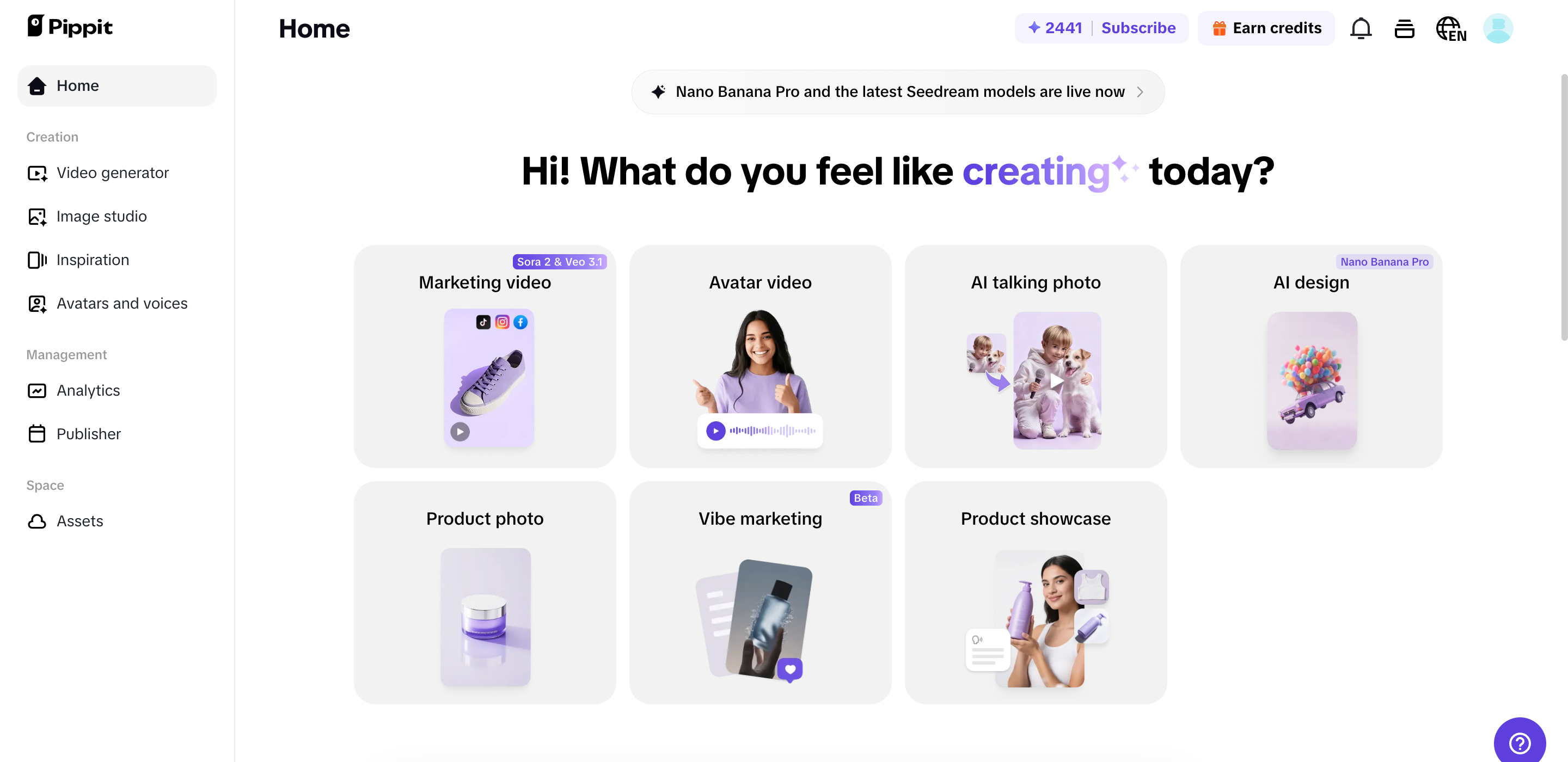 Interface do Pippit