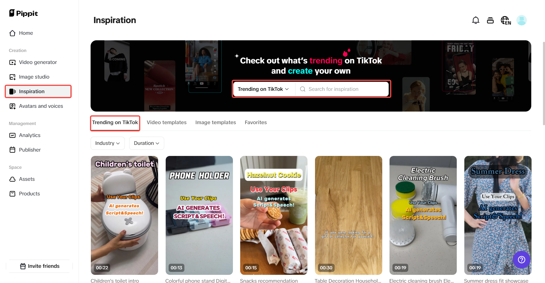 Modelli video TikTok diversificati