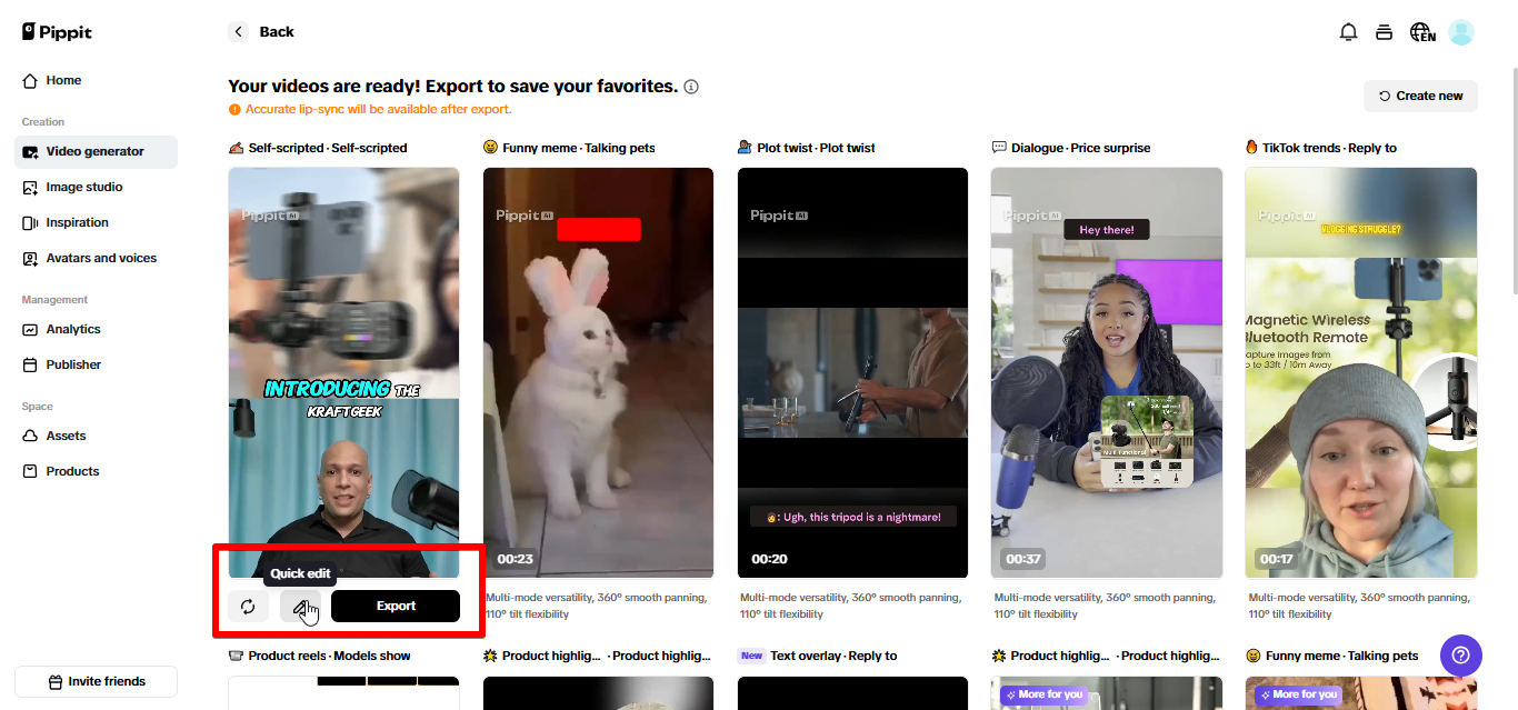 Exporting video from Pippit