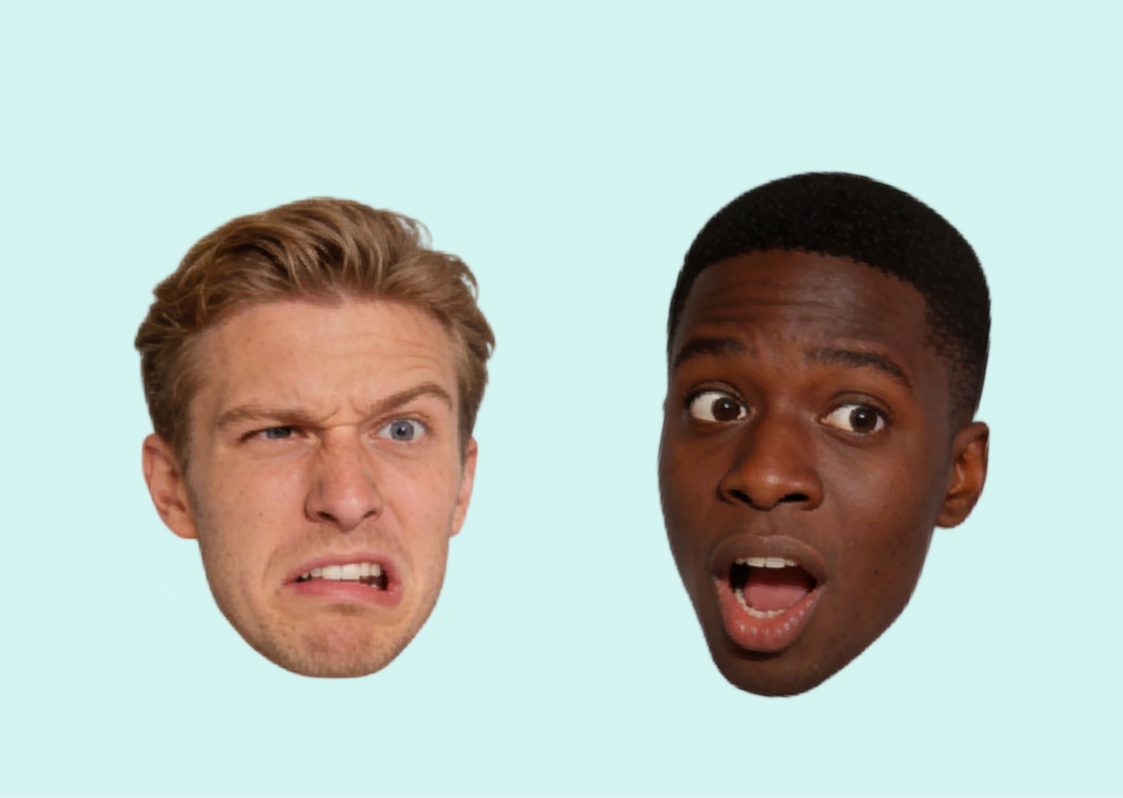 Cut out the face from this portrait image