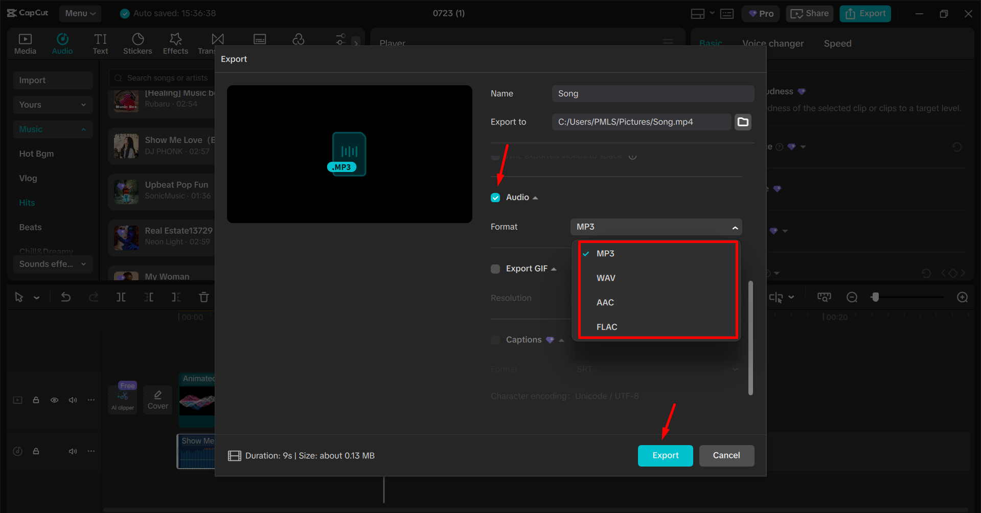 Exporting the audio from the Caput desktop video editor