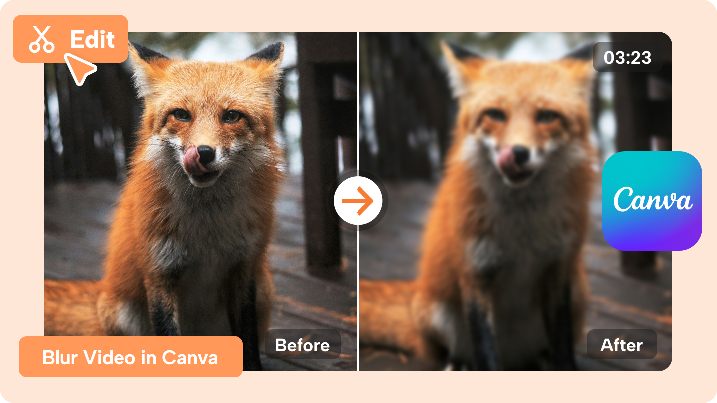 Canvaでビデオをぼかす方法