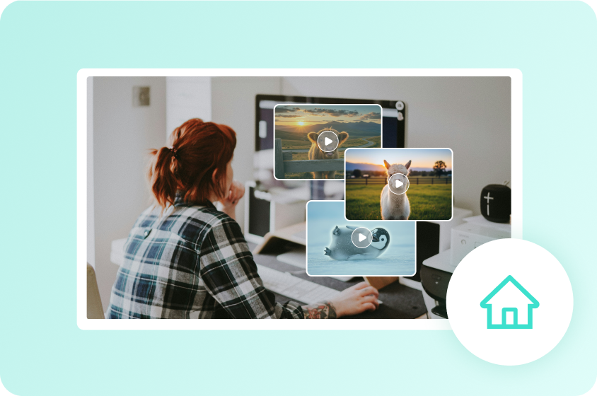 Capture a wildlife scene at home