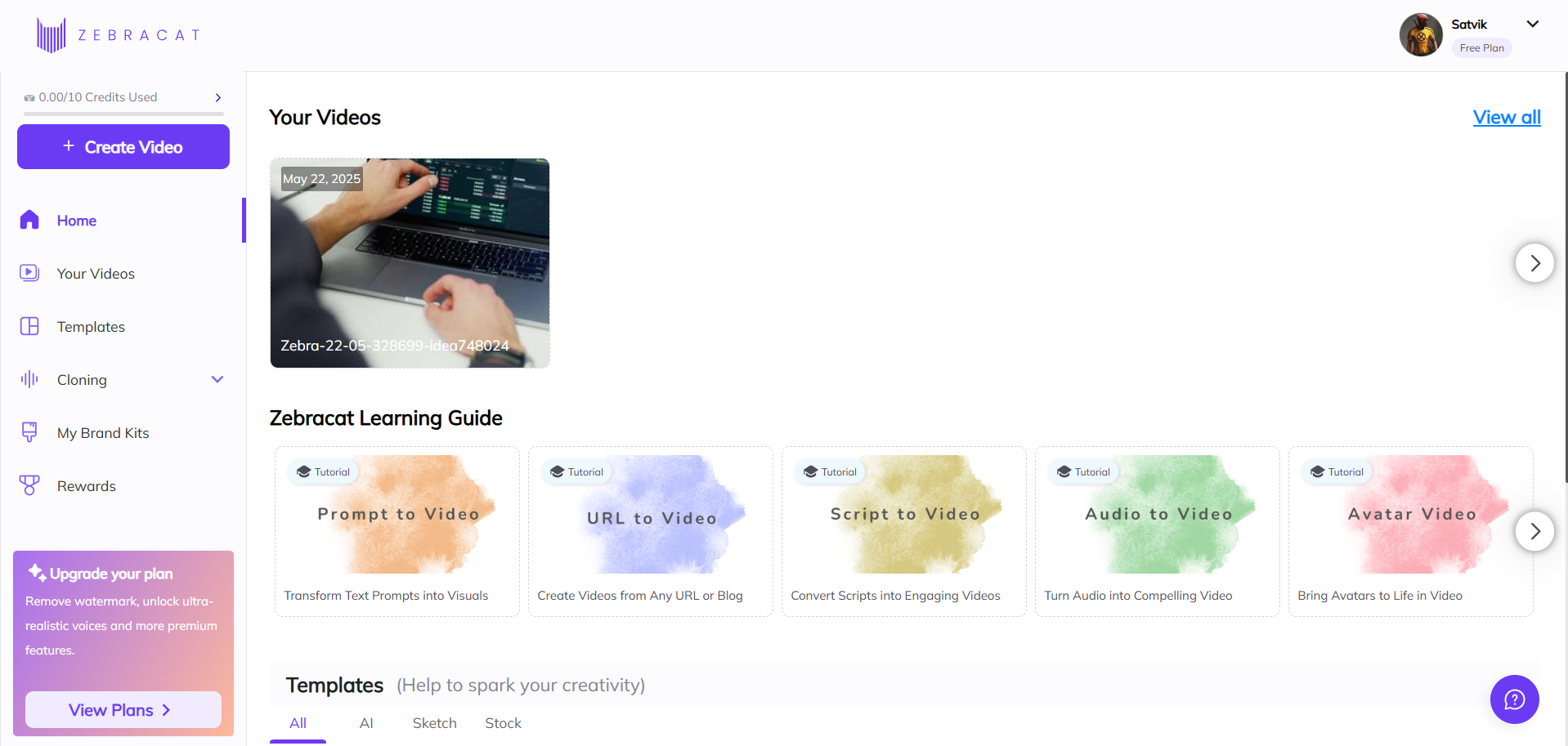 Interface de Zebracat AI