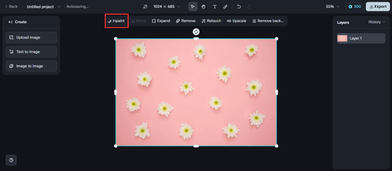 Inpaint feature