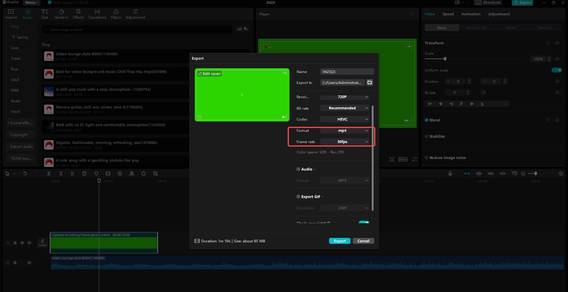 Select the output format mp4