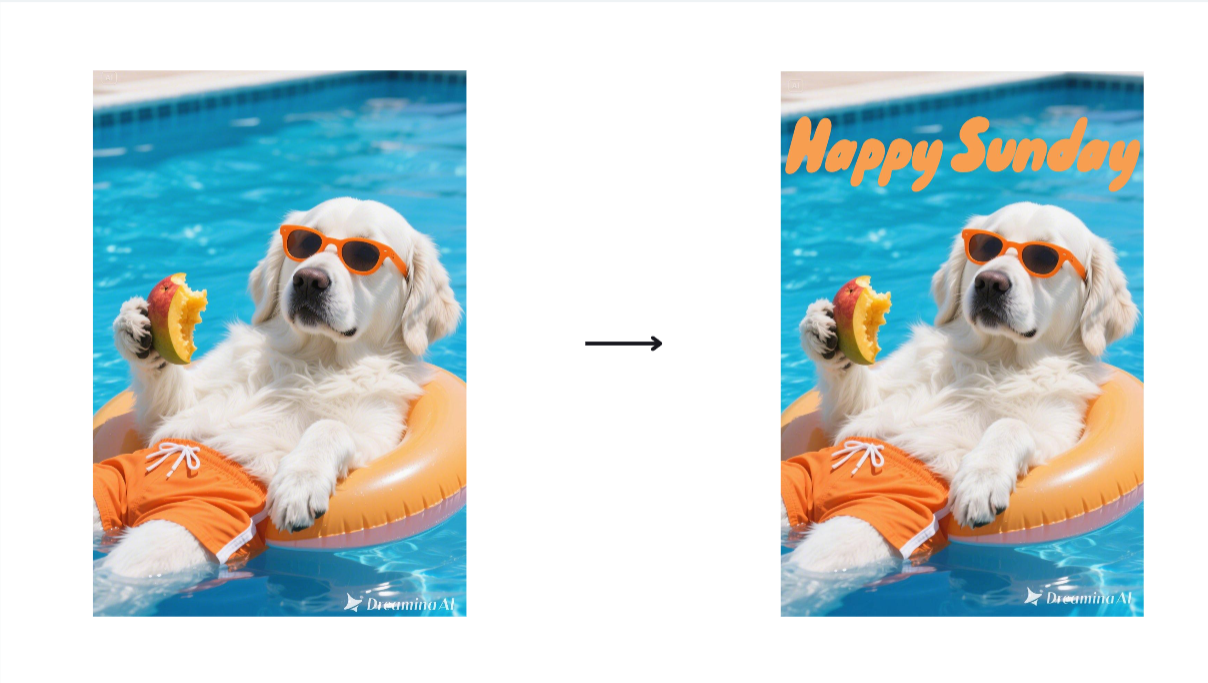 Text Overlay feature in Dreamina
