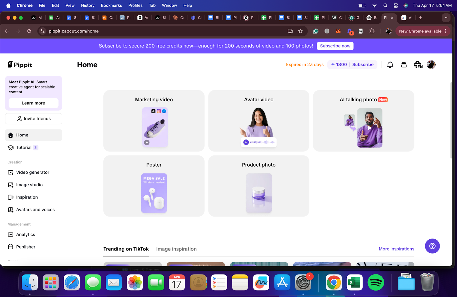Pippit's main interface