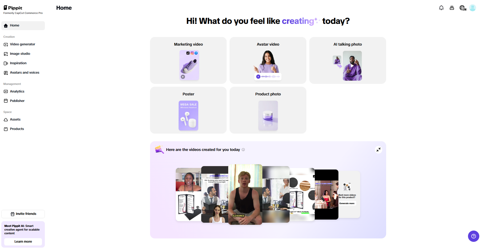 Pippit's interface