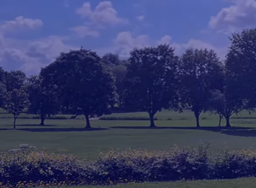 Fading a scene into a solid color with dip dissolve effect