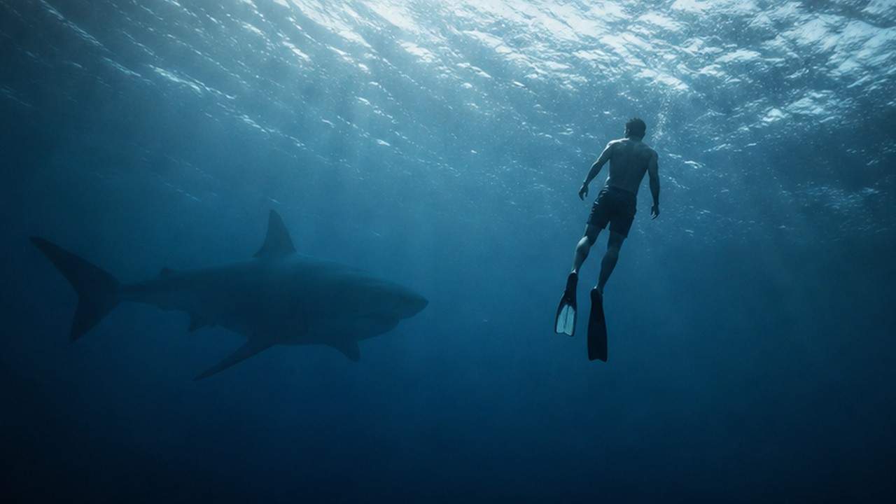 shark attack scene prompt result 1