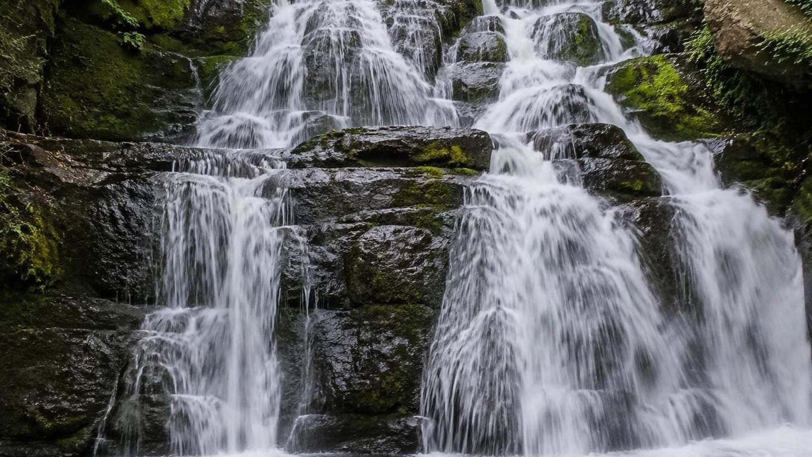 animate water in photo AI template cover
