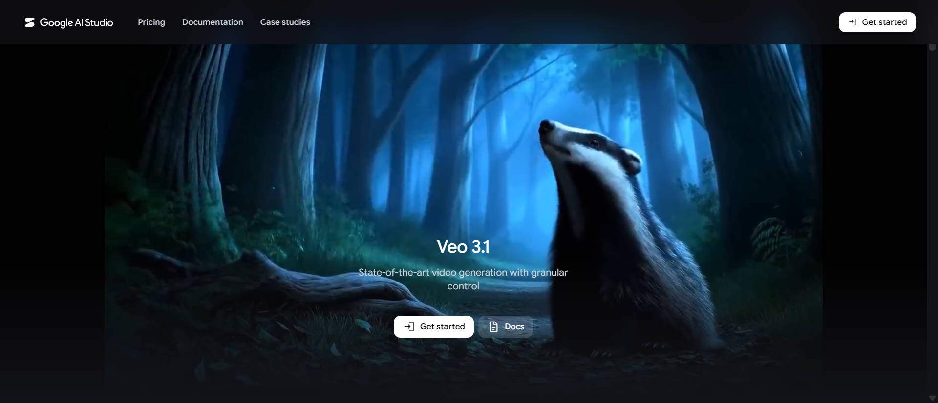 Veo 3.1