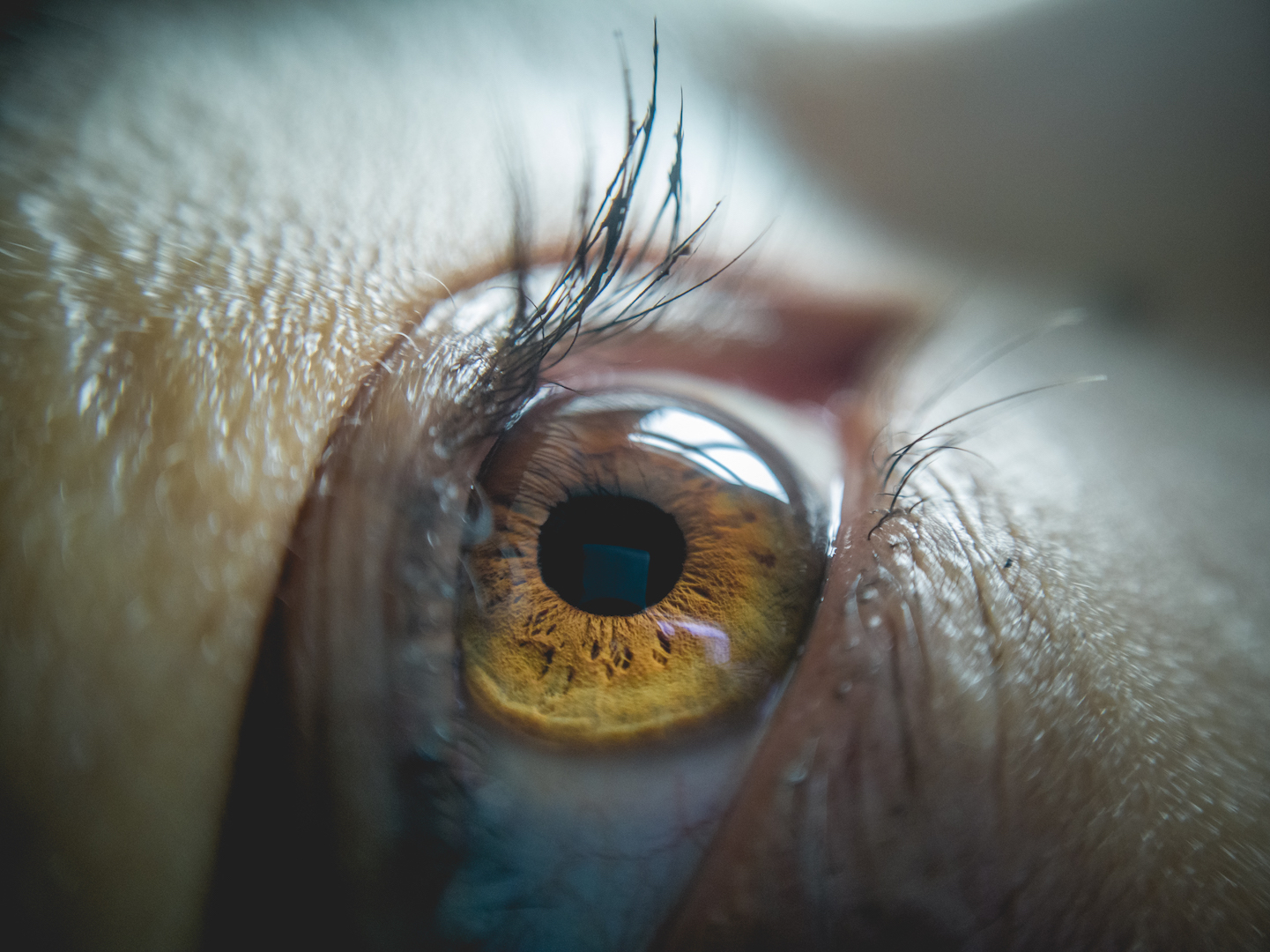 Macro lens Photography