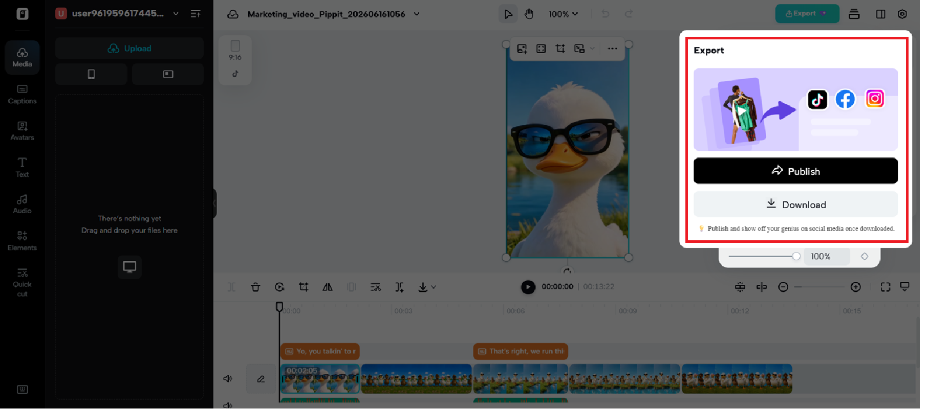 Preview and download