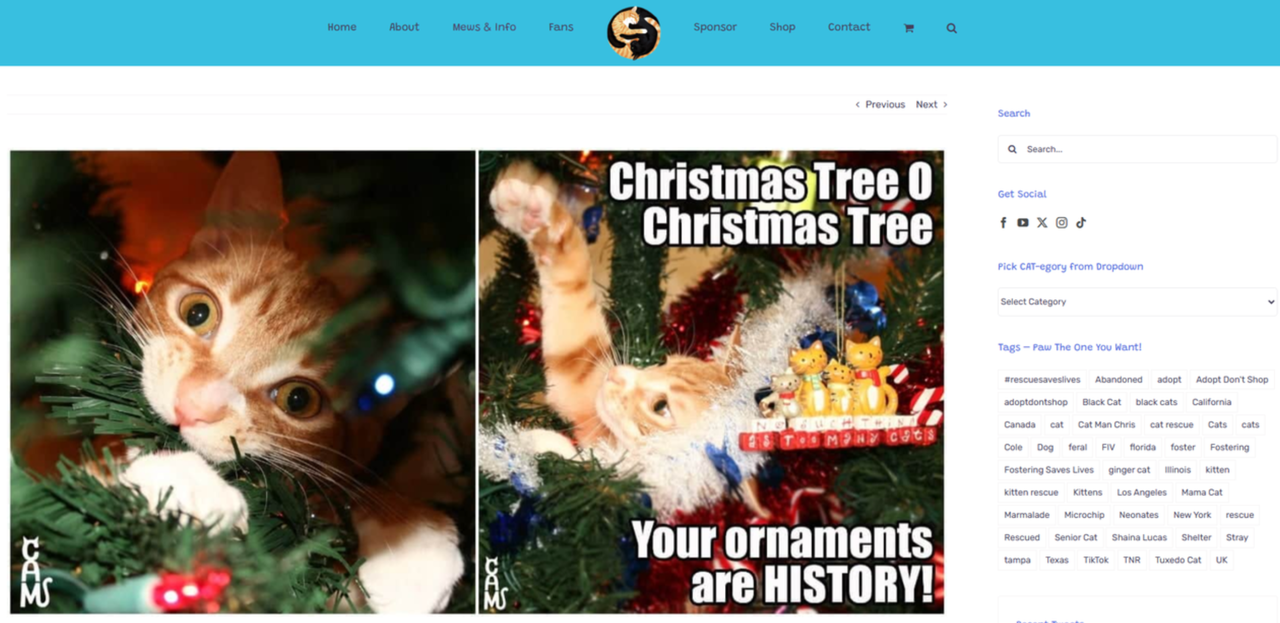 Interface of Cole & Marmalade - an online resource for Christmas cat memes