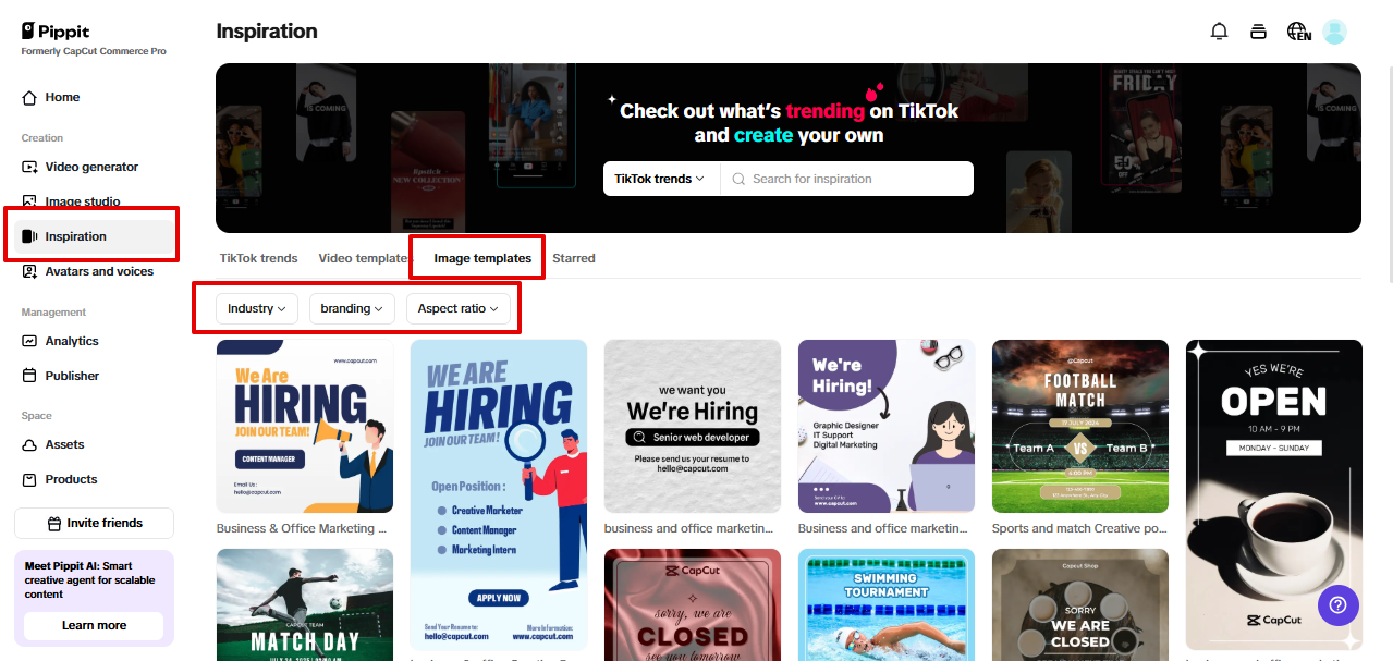 Pippit pre-cleared assets