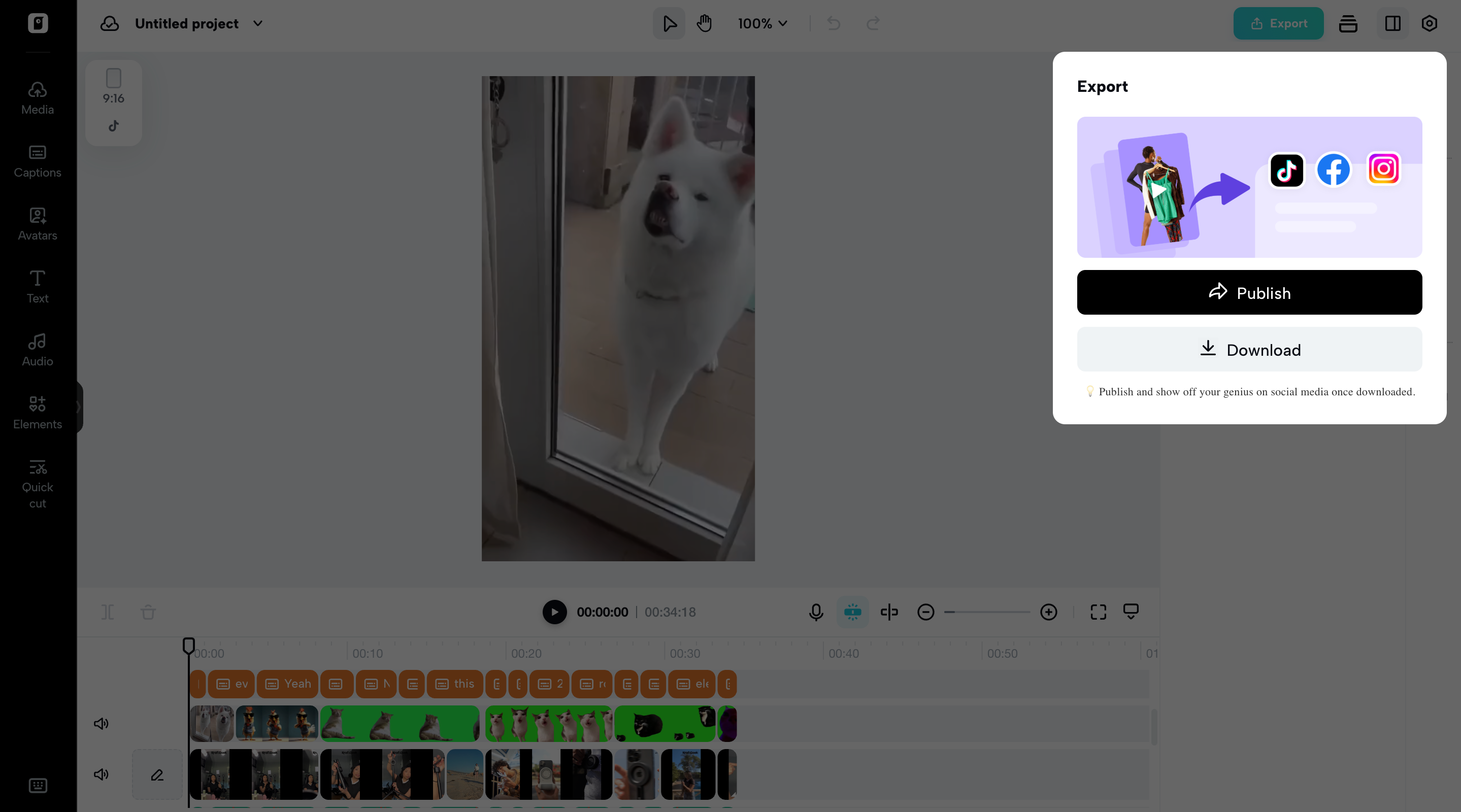 Export your video