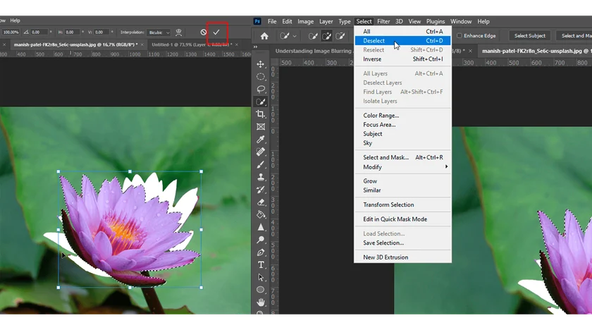 Apply the Deselect option for Image rotation in Photoshop