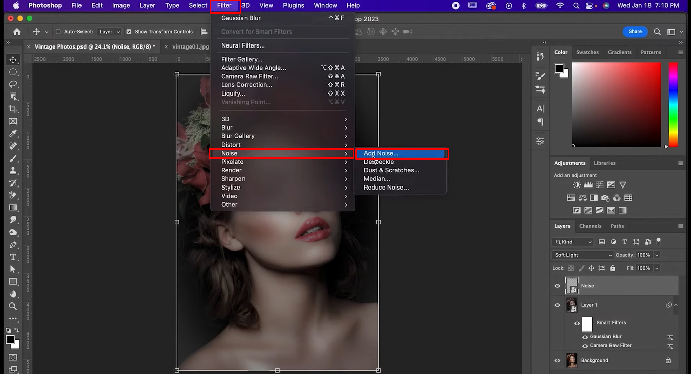 Apply a noise filter to refine the vintage filter in Photoshop
