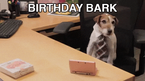 Imagen que muestra un meme de cumpleaños de un perro sentado en una silla de oficina