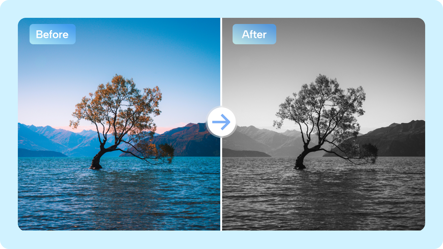 Conversor de imagens em tons de cinza: Transforme fotos em arte monocromática