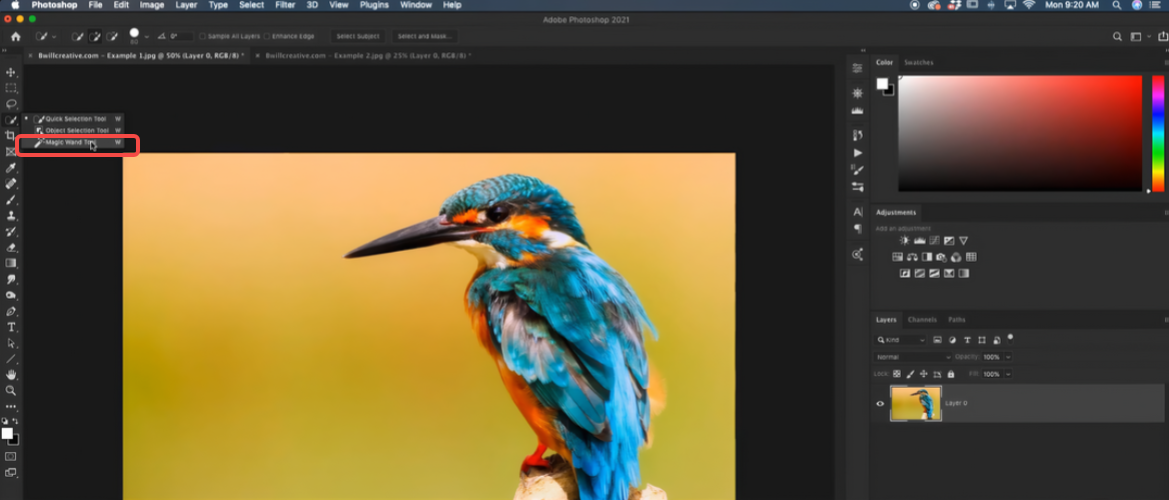 Magic wand tool in Photoshop