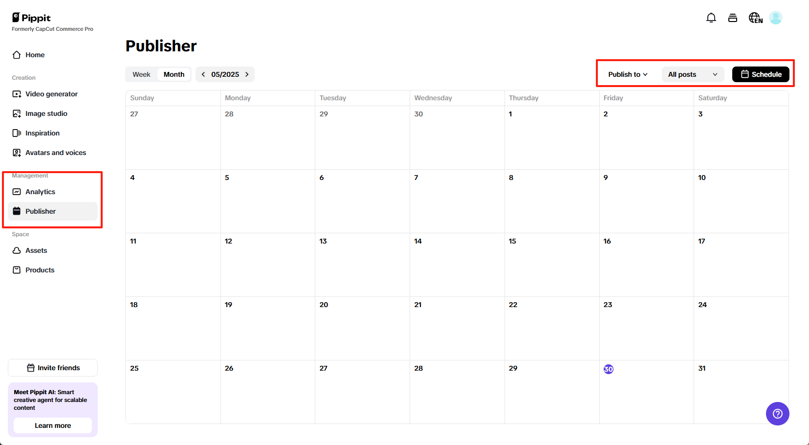 Pippit auto-publisher