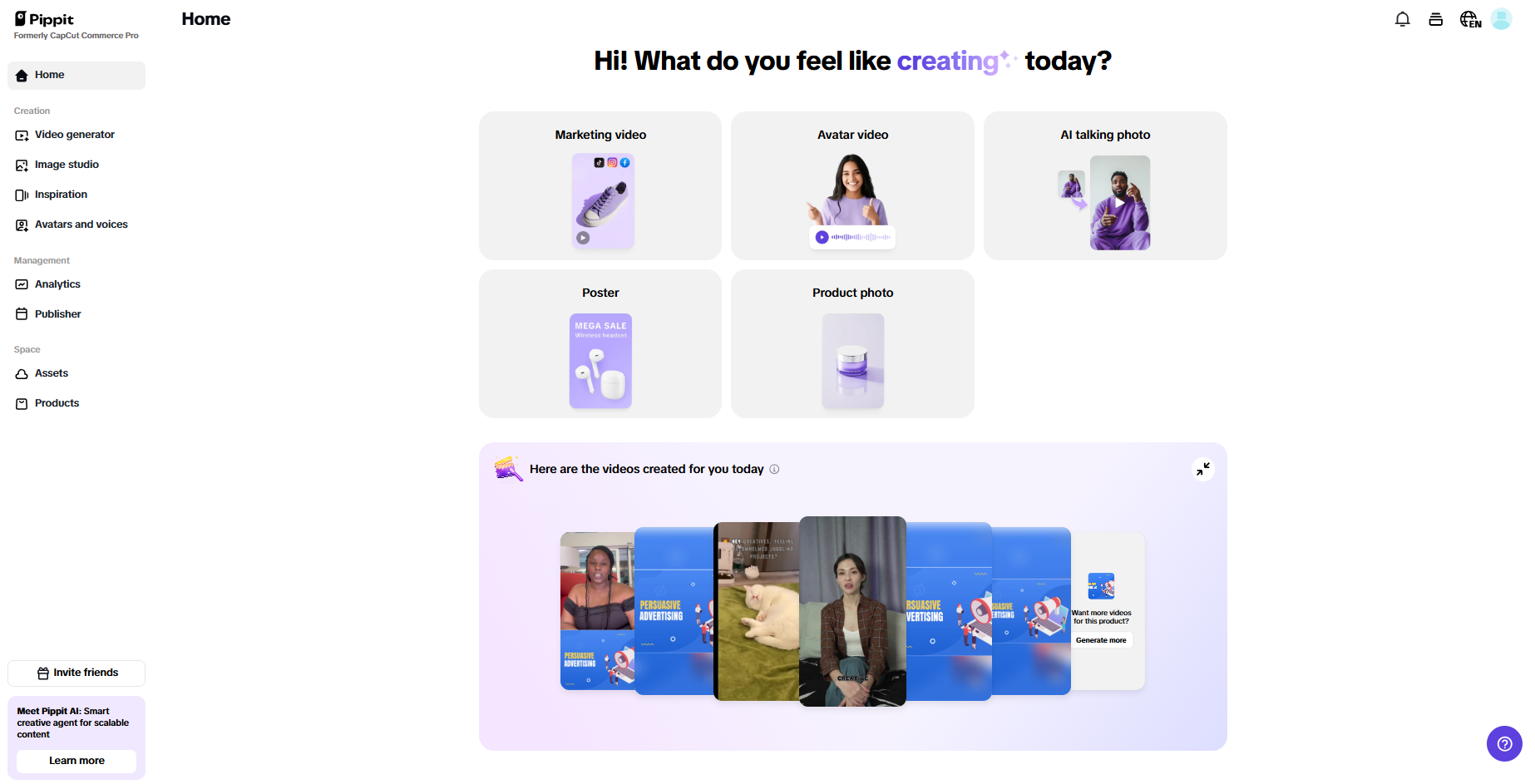 Pippit interface