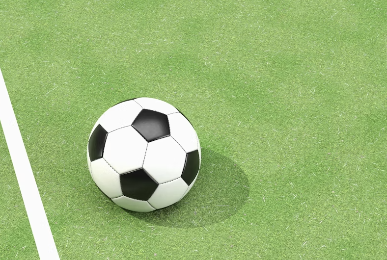 A close-up shot of a football resting on the grass of a pristine, empty football pitch. The early morning sun casts long shadows, and dew is visible on the blades of grass. The image has a calm, contemplative feel, suggesting the quiet moments of dedication and preparation before the roar of the crowd.