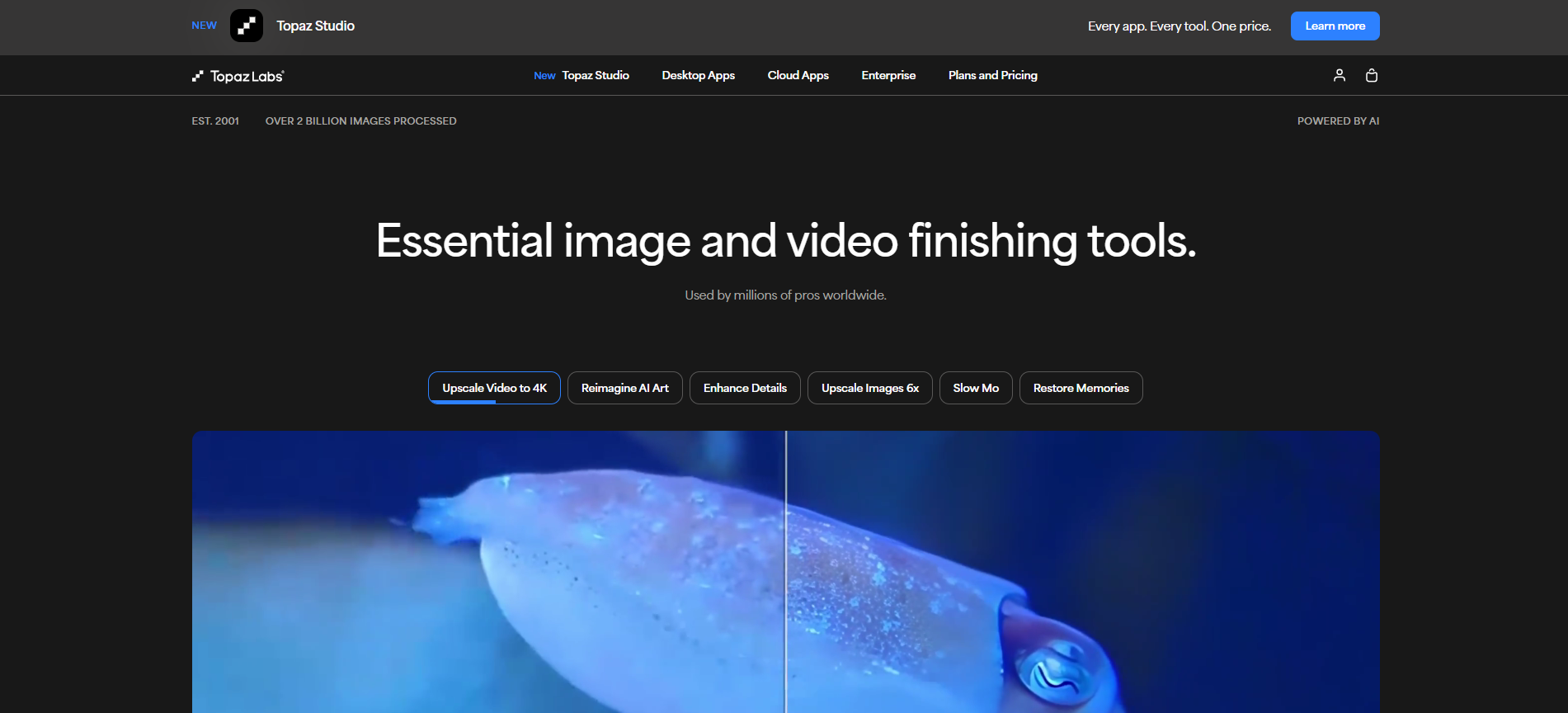 Topaz's official website