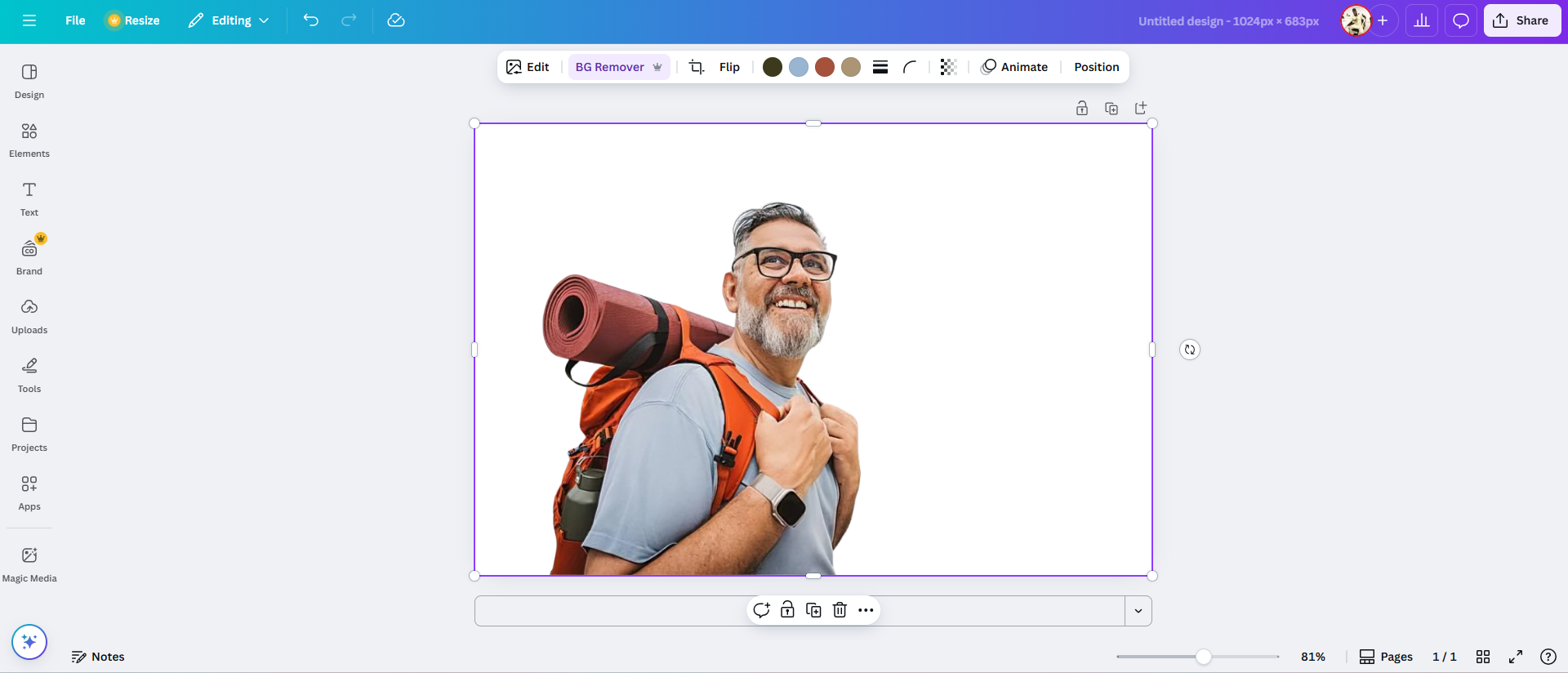 Removedor de fundo do Canva