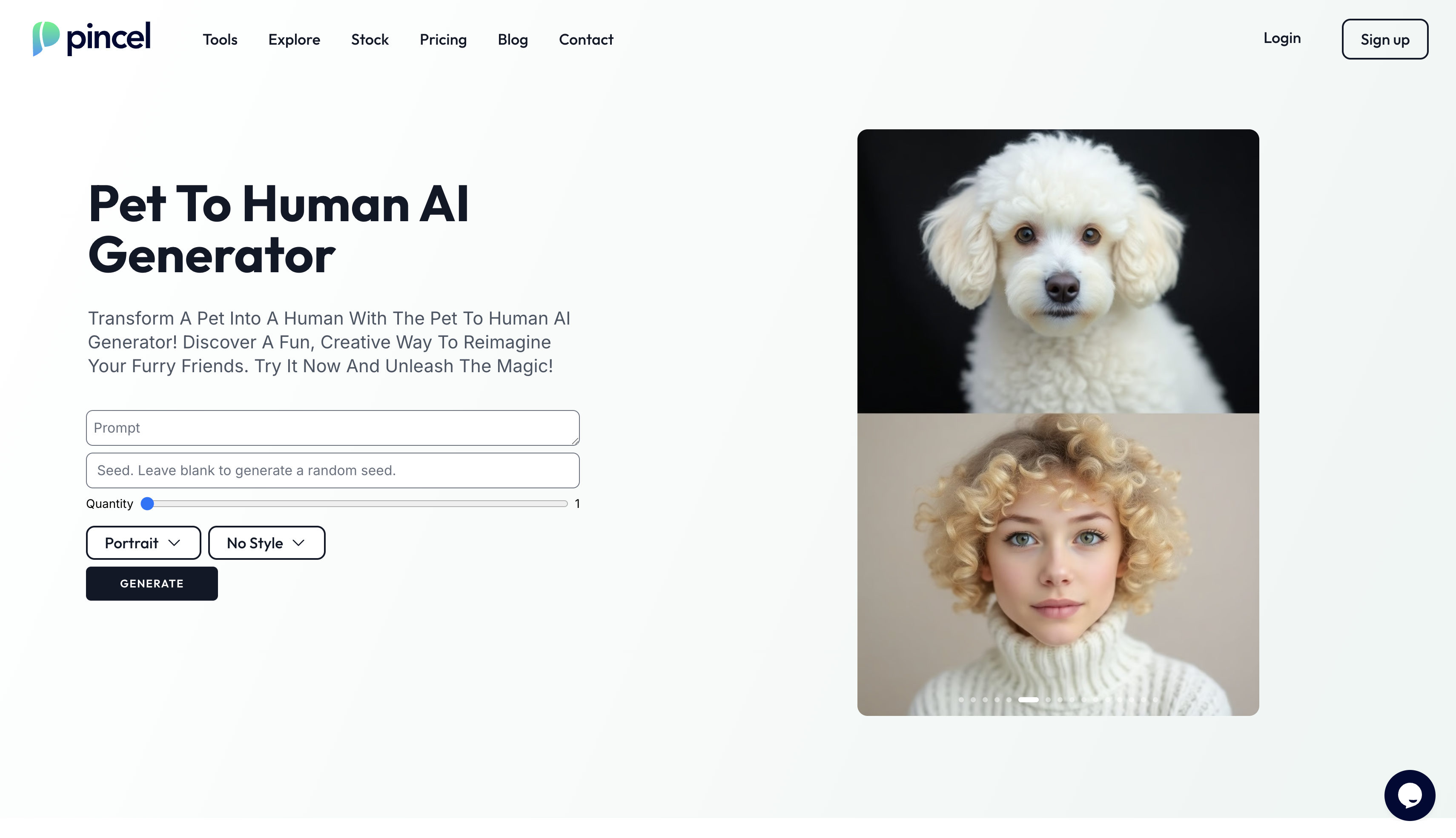 Pincel's interface