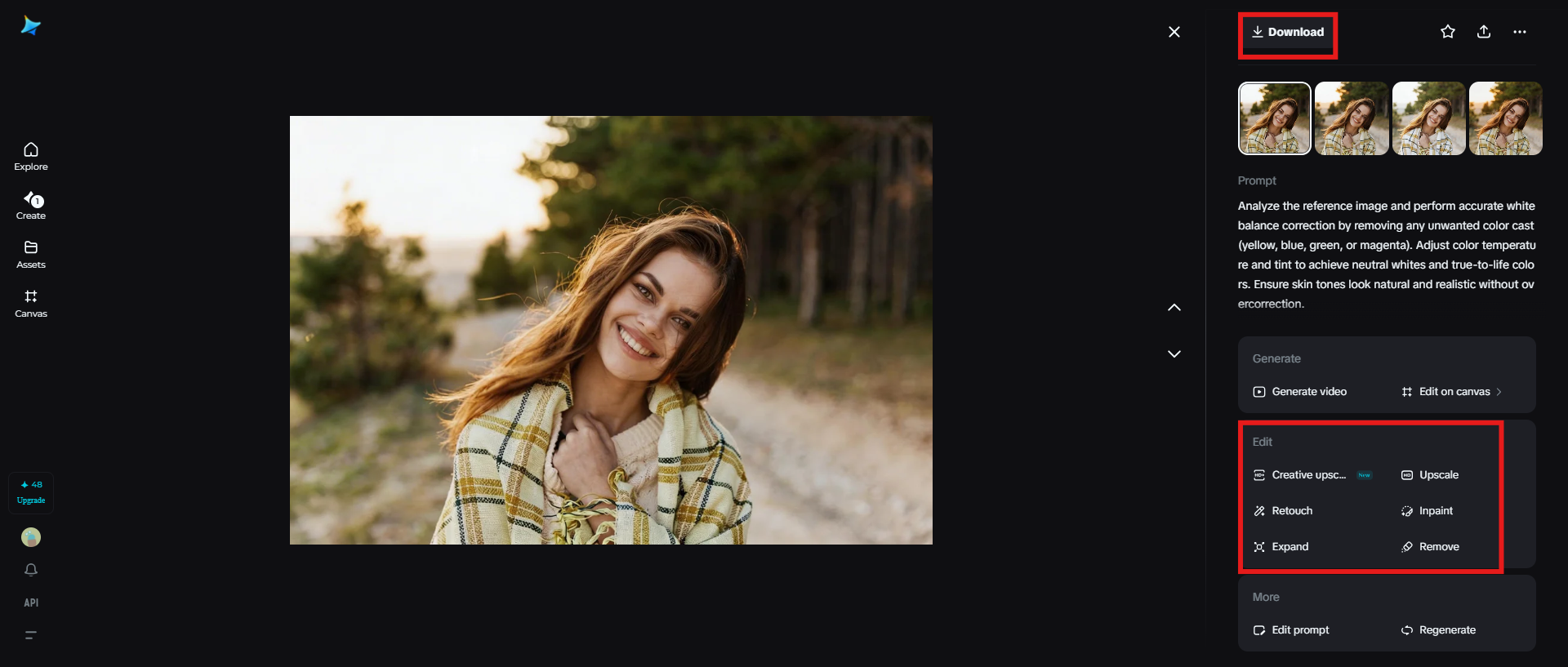 Edit and download the final image