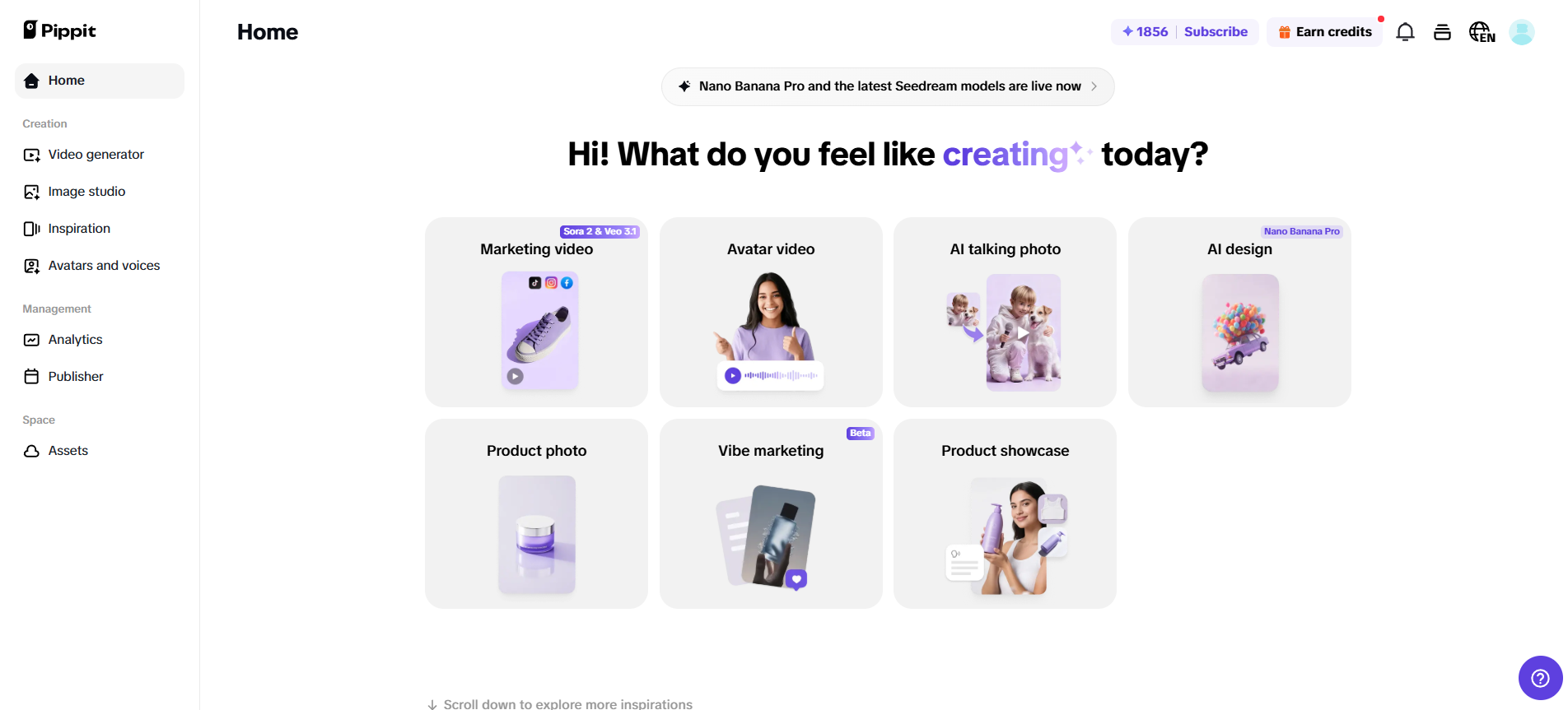 Pippit homepage