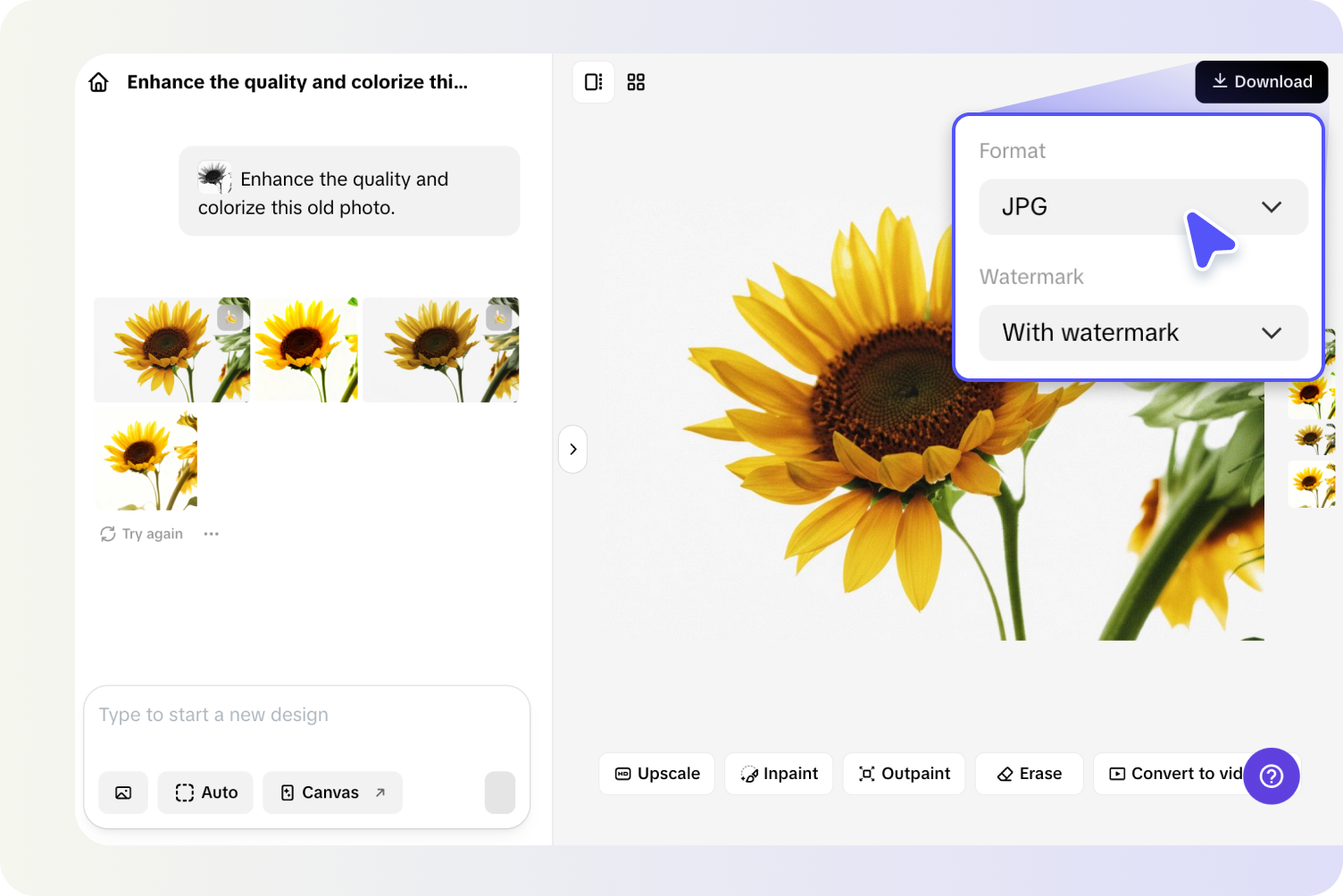 Exporting colorized image from Pippit