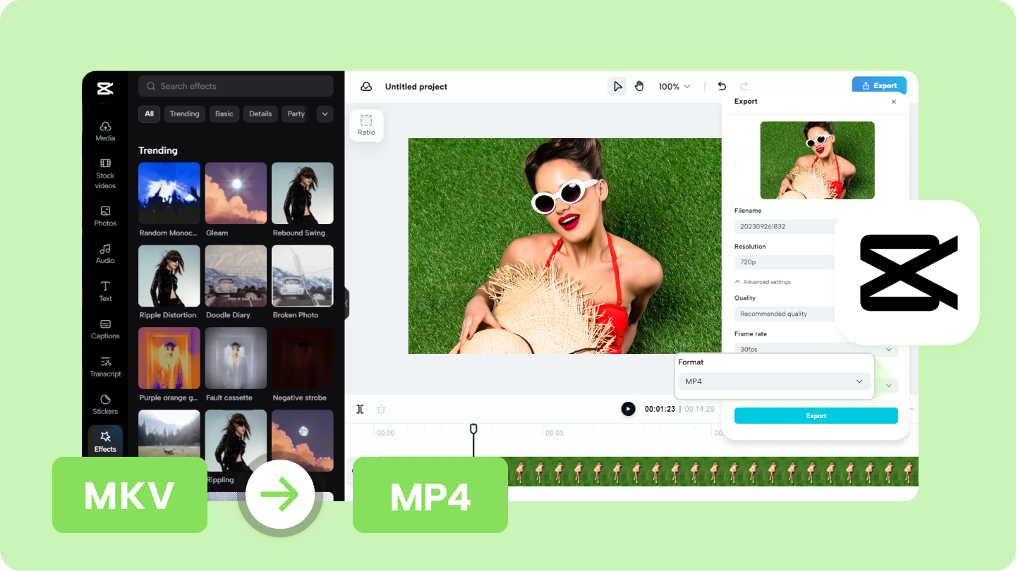 FFmpeg MKV to MP4 Conversion and Its Alternative