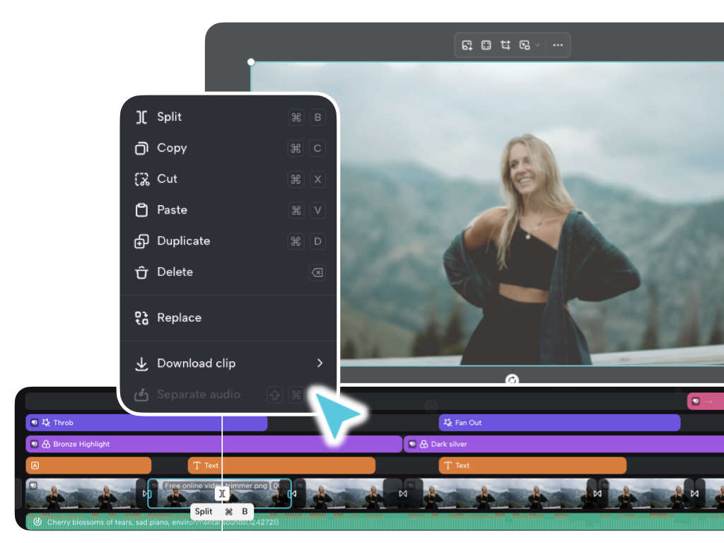 Trim Your Video Online
