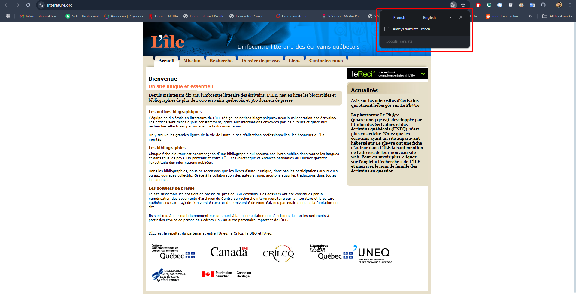 Google auto webpage translation