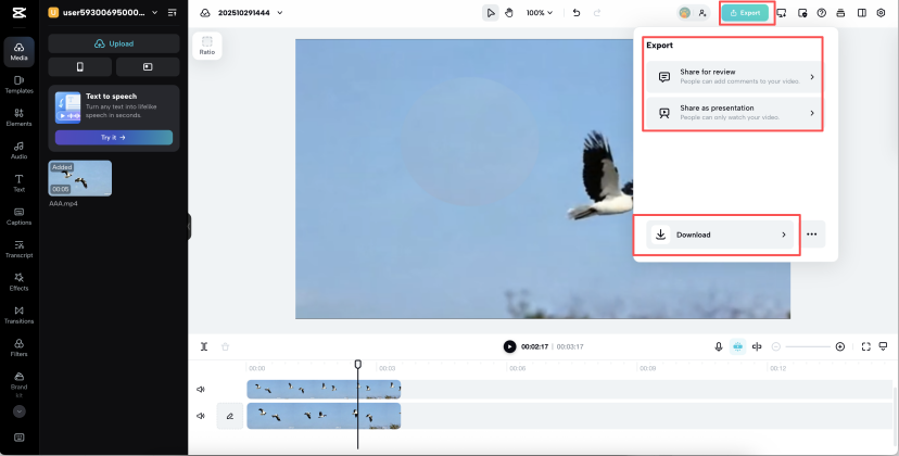Export or share