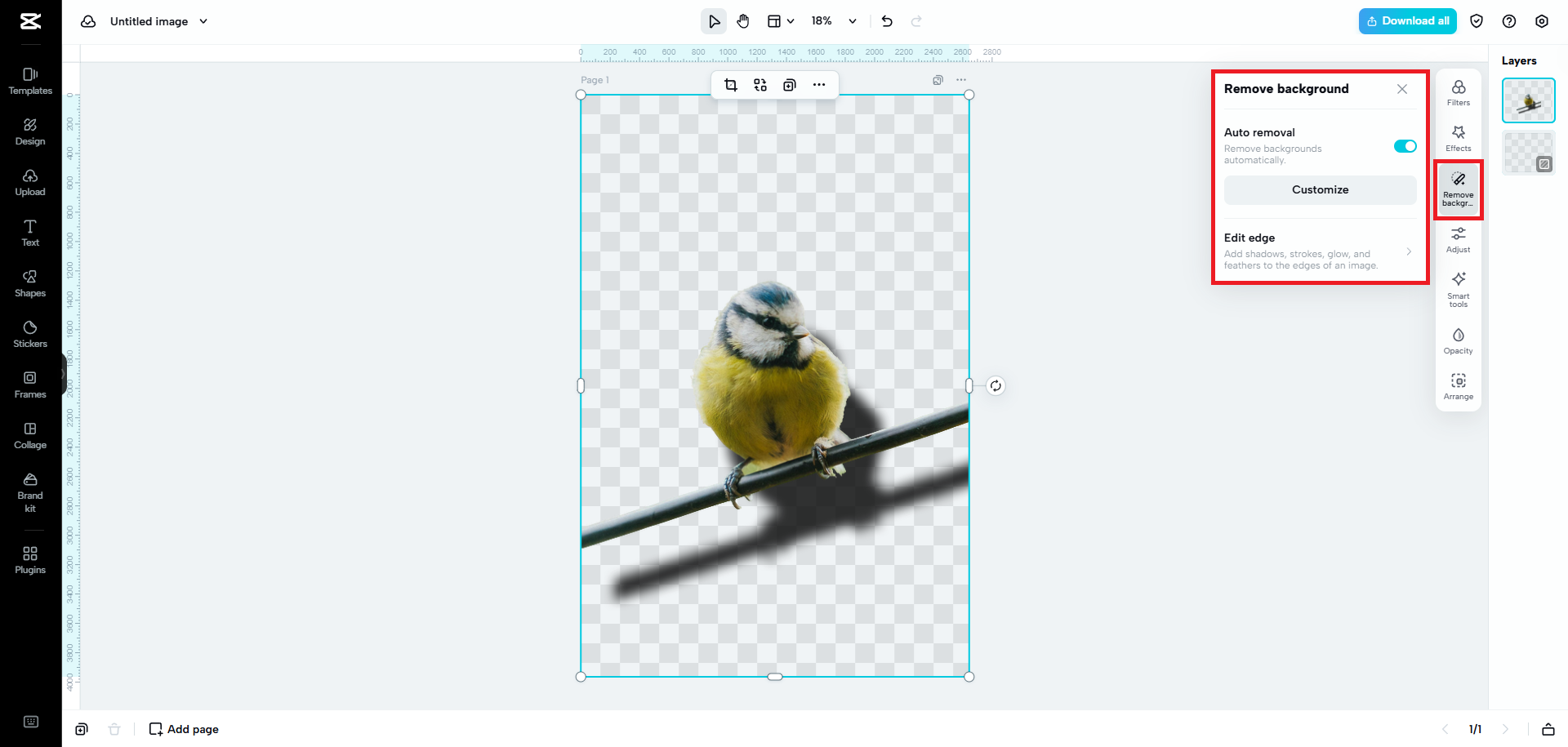 Customize the background removal process