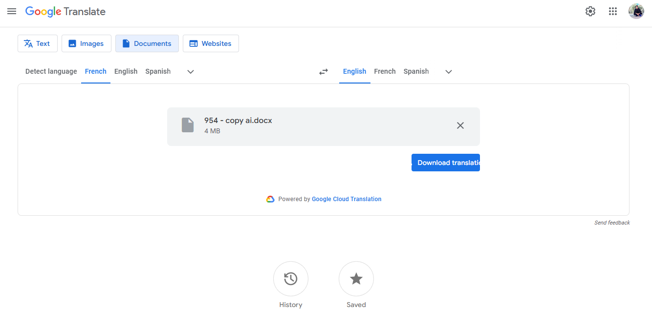 Download the translation document