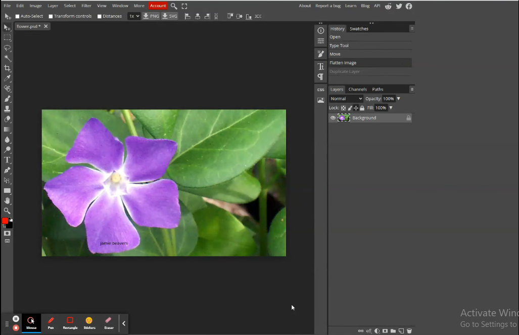 Drawing the first petal in Photopea