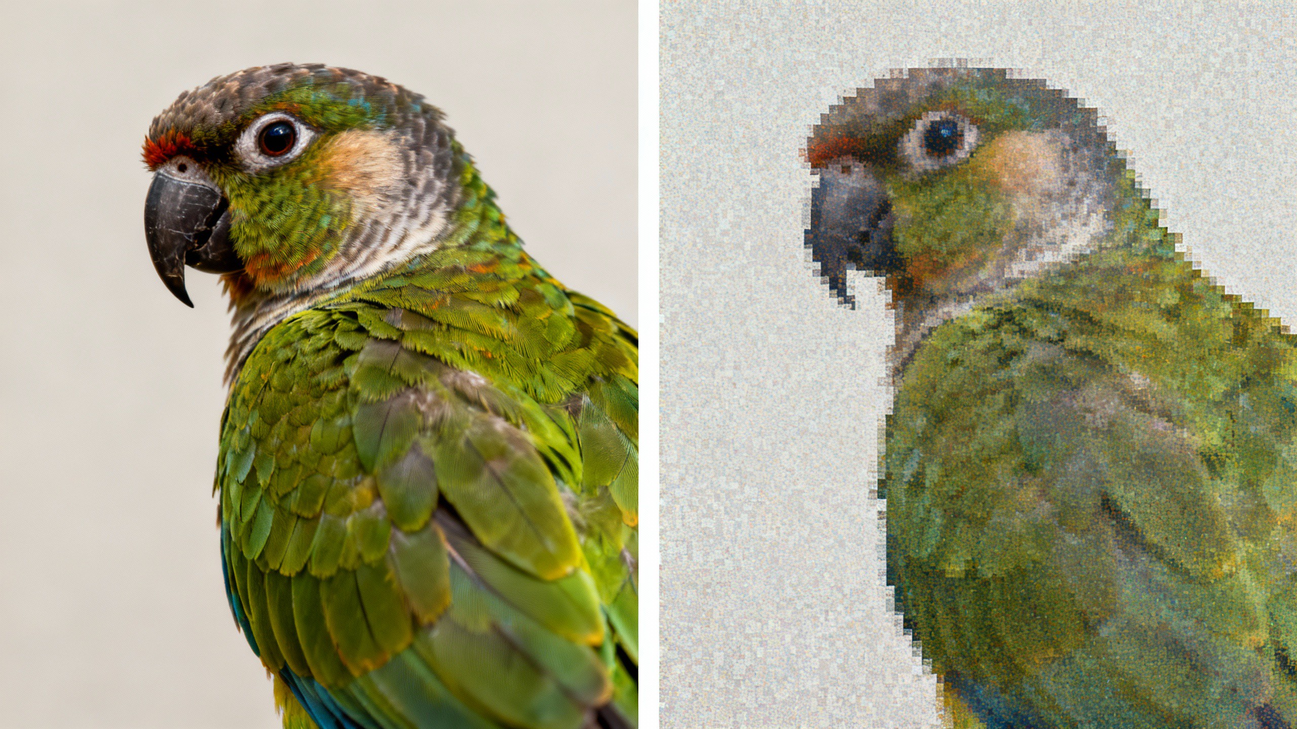 Upload high-quality files