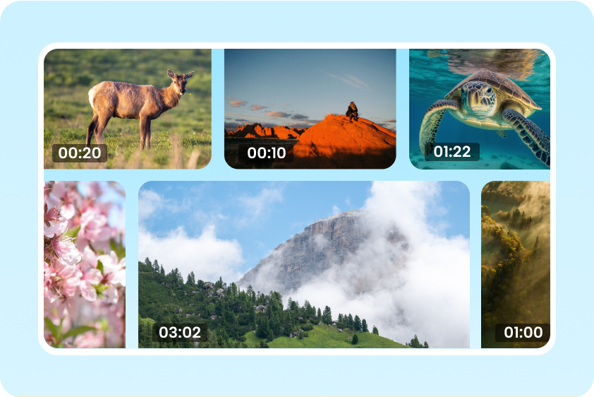 CapCut offers a vast collection of media materials