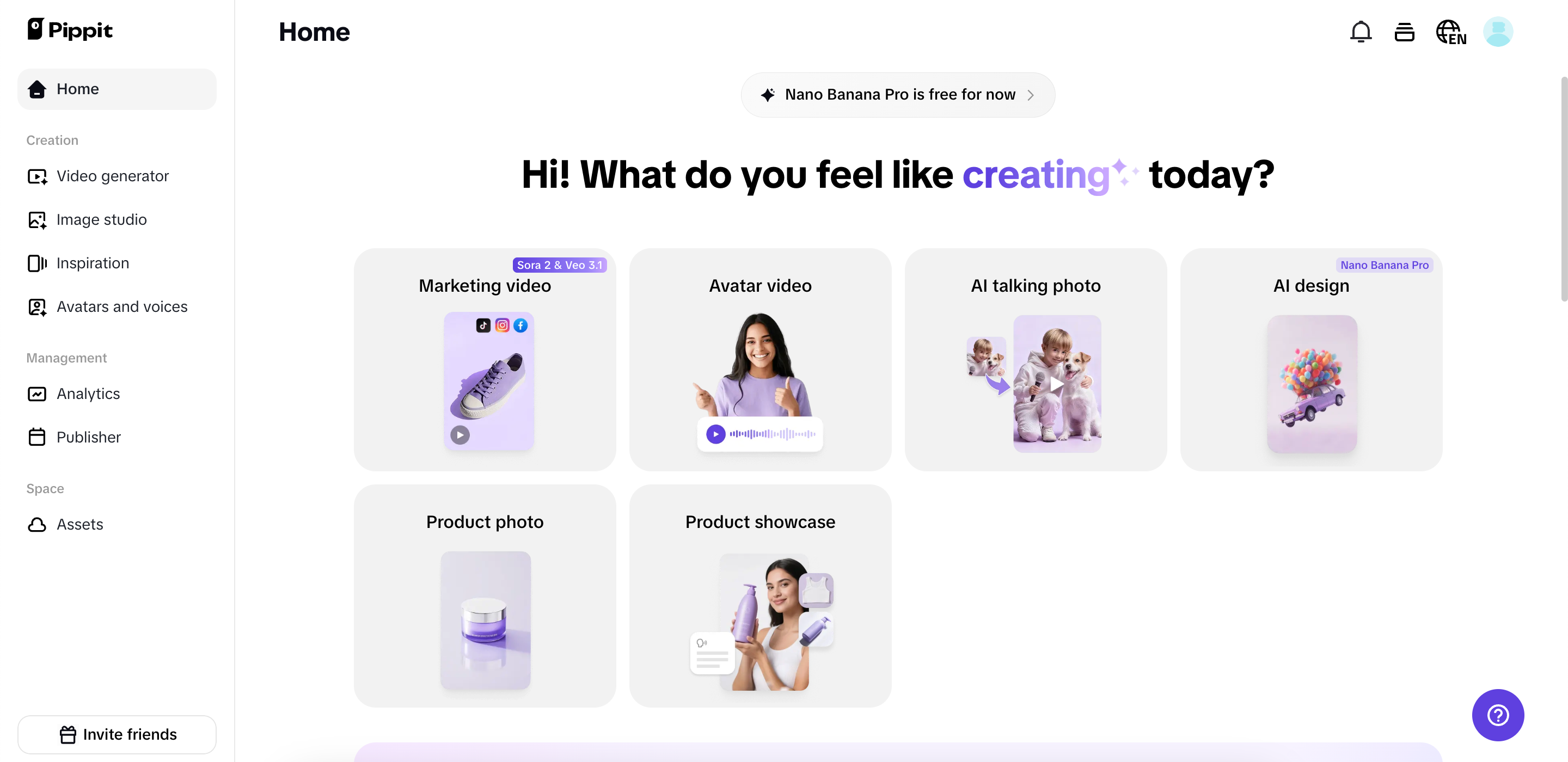 Pippit main page
